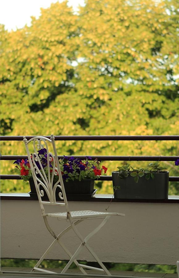 Apartma V Srdci Podebrad Podebrady Exterior photo