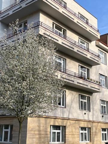 Apartma V Srdci Podebrad Podebrady Exterior photo